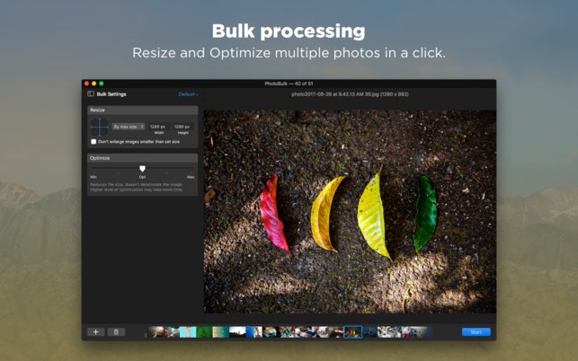 resize an image for the web on mac